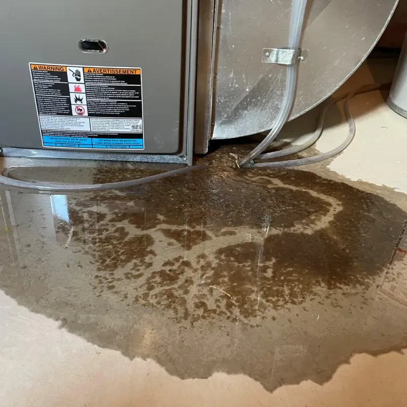 Appliance Leak Cleanup in Fairfield, AL